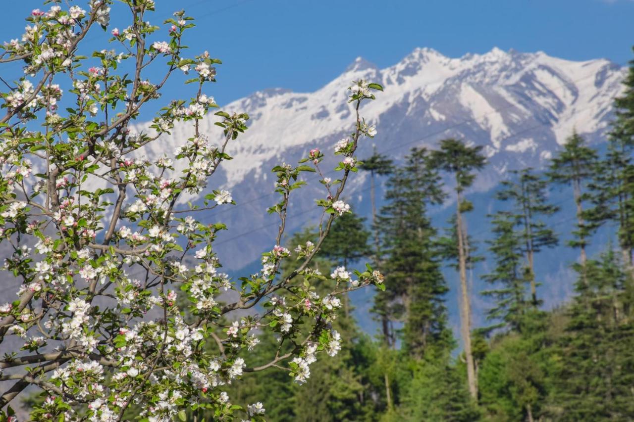 The Tirthan Eagle Nest, Tirthan Valley Jibhi Extérieur photo