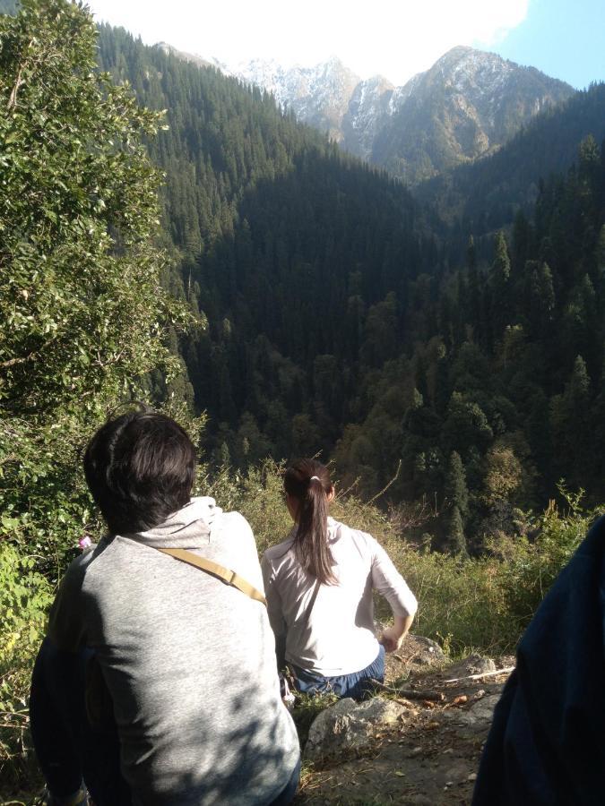 The Tirthan Eagle Nest, Tirthan Valley Jibhi Extérieur photo