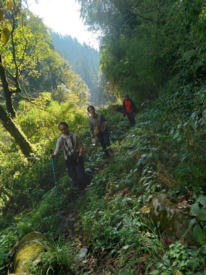 The Tirthan Eagle Nest, Tirthan Valley Jibhi Extérieur photo
